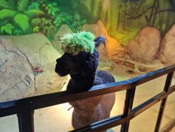 -酷嗒动物文化乐园(cutezoo西溪乐天城店)