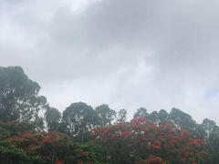 -观澜山水田园