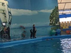 -尼莫海豚馆