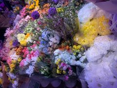 -花鸟鱼虫鲜花绿植市场(玉泉路店)