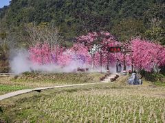 -靖西鹅泉风景区