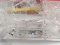 -万达广场(东莞厚街店)