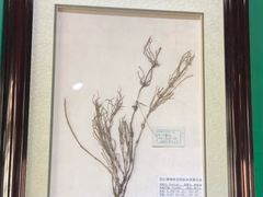 -苗湘食府(十年店)