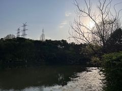 -八卦田遗址公园
