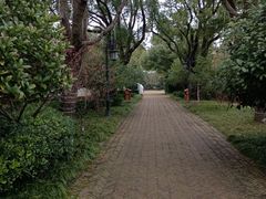 -上海长兴岛郊野公园