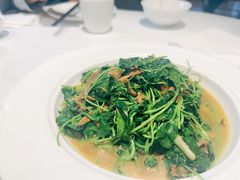 蚌肉金花菜-洋洋中餐馆·SINCE 1997(信投店)
