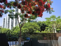 -探秘12时海鲜生蚝排档