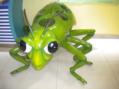 -上海昆虫博物馆