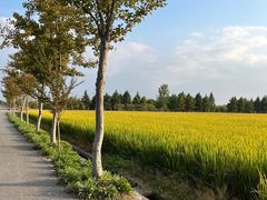 -嘉北郊野公园