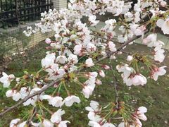 -江南大学(蠡湖校区)