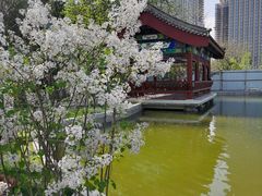 -西海子公园