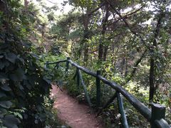 -鲁山国家森林公园