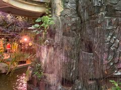 -正佳雨林生态植物园