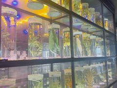 -广东中医药博物馆
