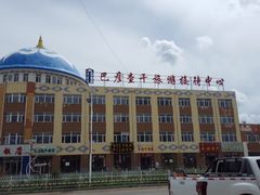 -贡格尔草原