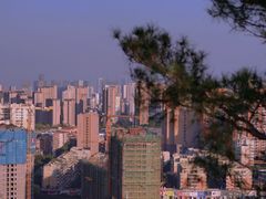 -仙岳公园