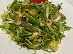 -海派美食·家宴海鲜青岛菜·石锅鲽鱼头(东方城店)