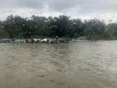 -东寨港红树林旅游区