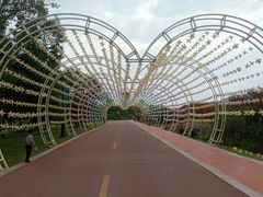 -云漫湖生态度假公园