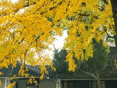 -西园戒幢律寺