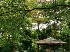 -深圳国际园林花卉博览园