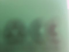 -顺德渔村·岭南一号