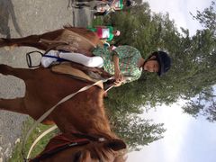 静安马场-沈阳静安马场