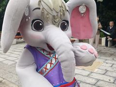 -野象谷景区