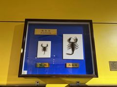 -上海昆虫博物馆