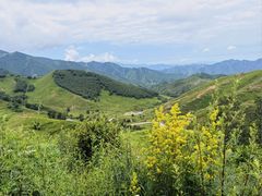 -灵山