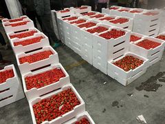 -西郊国际农产品交易中心