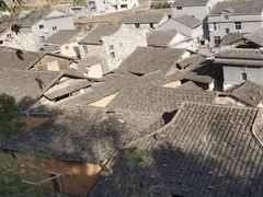 -北岐滩涂