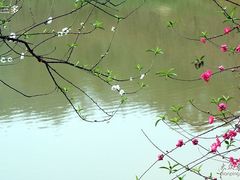 -南国桃园旅游度假区