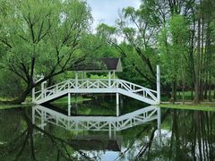 -上海共青森林公园