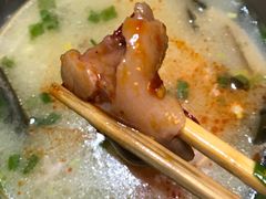 海带蹄花-中和裴氏蹄花(府河路店)