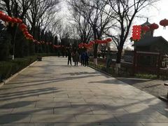 -大槐树寻根祭祖园