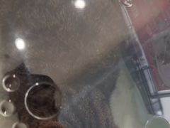 -虹泰宠物医院 ·旗舰店·24h(南秀路店)