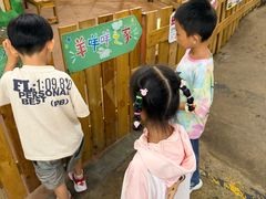 -正佳雨林生态植物园