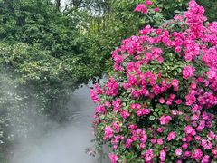 -广富林宰相府酒店·水云间