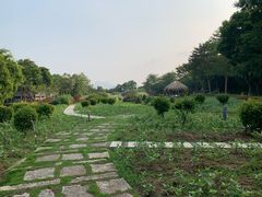 -厦门园林博览苑