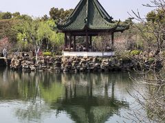 -无锡蠡湖国家湿地公园-蠡园
