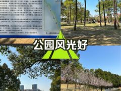 -美兰湖景区