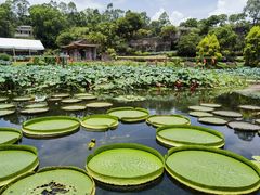 -广州莲花山旅游区