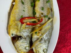 -蛇口康乐快餐鱼仔档(翠苑小区店)