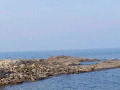 -渡海小渔村.老辈日照菜