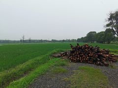 -嘉北郊野公园