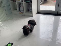 -纳吉亚猫专科动物诊疗中心(蒋宅口分院)