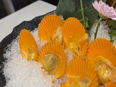 -太琼糟粕醋火锅·海南老爸茶(海棠湾臻选店)