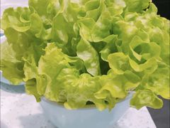 -韩时烤肉(丰科万达广场店)