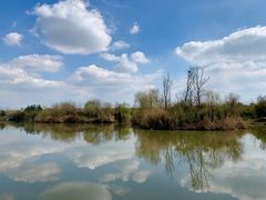 -白鹭湾湿地公园